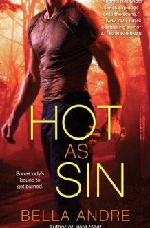 Hot as Sin A Novel cover image