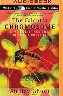 Calcutta Chromosome, The cover image