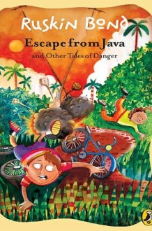 Escape from Java and other Tales of Danger cover image