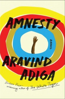 Amnesty A Novel cover image
