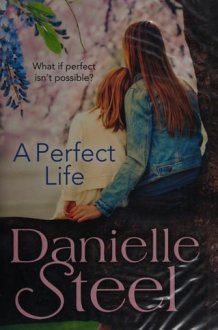 A Perfect Life cover image