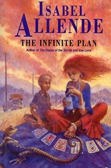 The Infinite Plan cover image