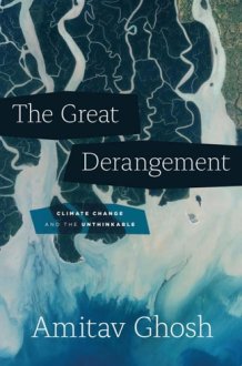 The Great Derangement Climate Change and the Unthinkable cover image