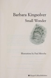 Small Wonder - Essays cover image