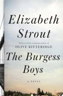 The Burgess Boys A Novel cover image