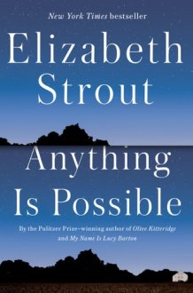 Anything Is Possible A Novel cover image
