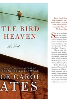 Little Bird of Heaven A Novel cover image