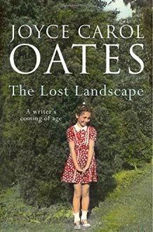 The Lost Landscape A Writer's Coming of Age cover image