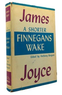 A Shorter Finnegans Wake cover image
