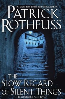 The Slow Regard of Silent Things cover image