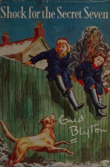 Shock for the Secret Seven cover image