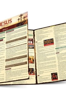 Jesus - Historical and Biblical A QuickStudy Laminated Reference Guide cover image