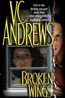 Broken Wings cover image