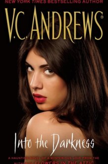 Into the Darkness cover image