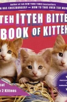 Teh Itteh Bitteh Book of Kittehs cover image