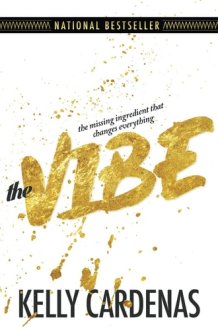 The Vibe The Missing Ingredient That Changes Everything cover image