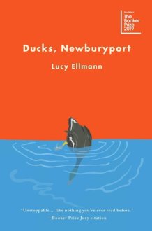 Ducks, Newburyport cover image