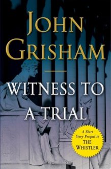 Witness to a Trial cover image