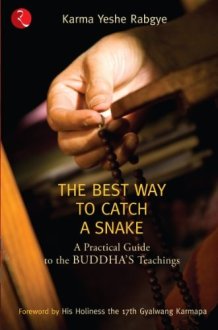 The Best Way to Catch a Snake cover image