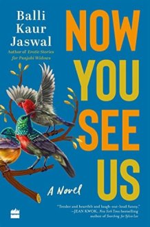 Now You See Us : The Novel cover image