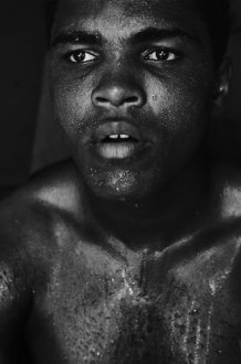 Parks X Ali cover image