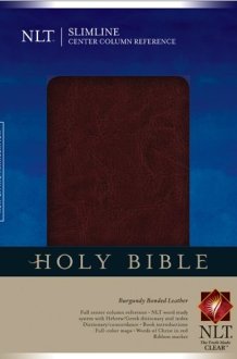 Slimline Center Column Reference Bible NLT cover image