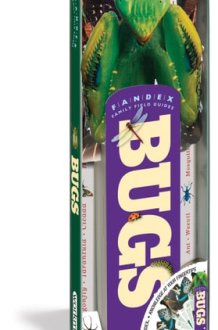 Bugs cover image