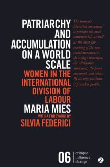 Patriarchy and Accumulation on a World Scale: Women in the International Division of Labour (Critique Influence Change) cover image