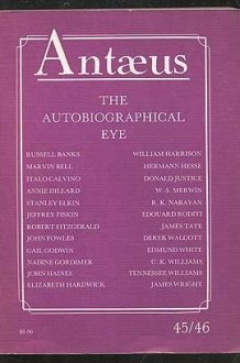 The autobiographical eye cover image