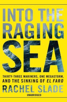 Into the Raging Sea: Thirty-Three Mariners, One Megastorm, and the Sinking of the El Faro cover image