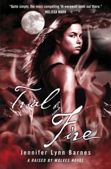 Trial by Fire cover image