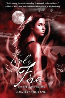 Trial by Fire cover image