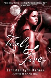 Trial by Fire Book 2: from the bestselling author of The Inheritance Games cover image