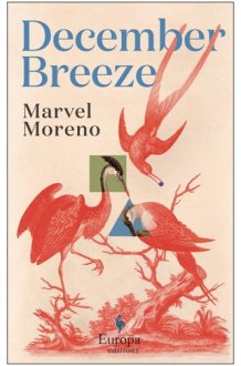 December Breeze cover image
