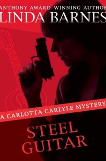Steel Guitar cover image