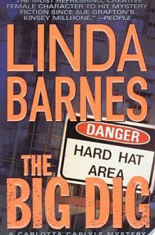 The Big Dig cover image