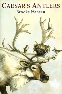 Caesar's Antlers cover image