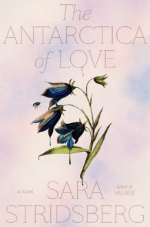 The Antarctica of Love A Novel cover image