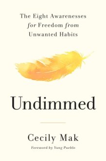 Undimmed The Eight Awarenesses for Freedom from Unwanted Habits cover image