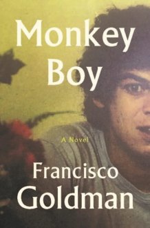 Monkey Boy A Novel cover image