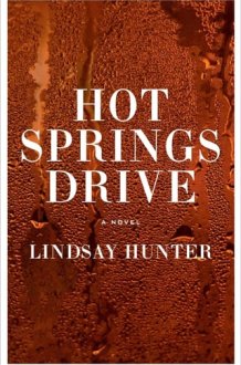 Hot Springs Drive A Novel cover image