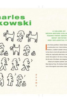 The Continual Condition cover image