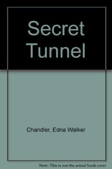 Secret Tunnel cover image