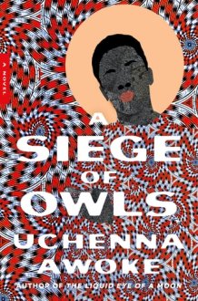 A Siege of Owls - A Novel cover image