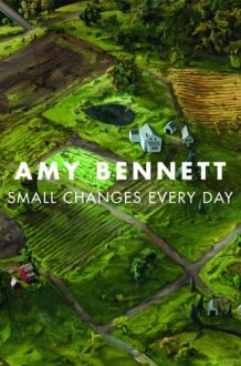 Amy Bennett Small Changes Every Day cover image