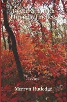 To Carve a Path Through Thickets cover image