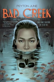Bad Creek cover image