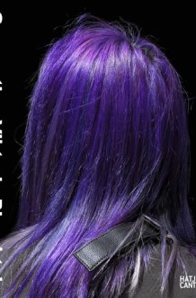 Viktoria Binschtok (Bilingual Edition) Connection cover image