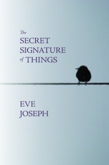 The Secret Signature of Things cover image