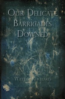 Our Delicate Barricades Downed Prose Poems cover image